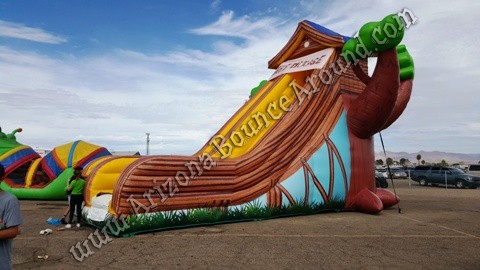 Inflatable tree house slide rental Phoenix Arizona